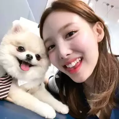 贡曼寒